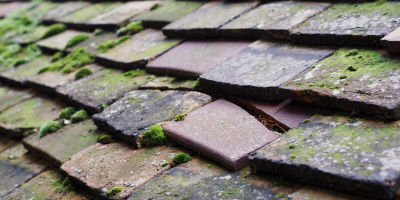 Tempsford roof repair costs